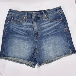 NWT Torrid Festi High Rise Denim Shorts - 10